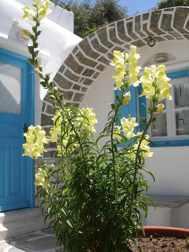 Hotel Philippi Mykonos Town Екстериор снимка